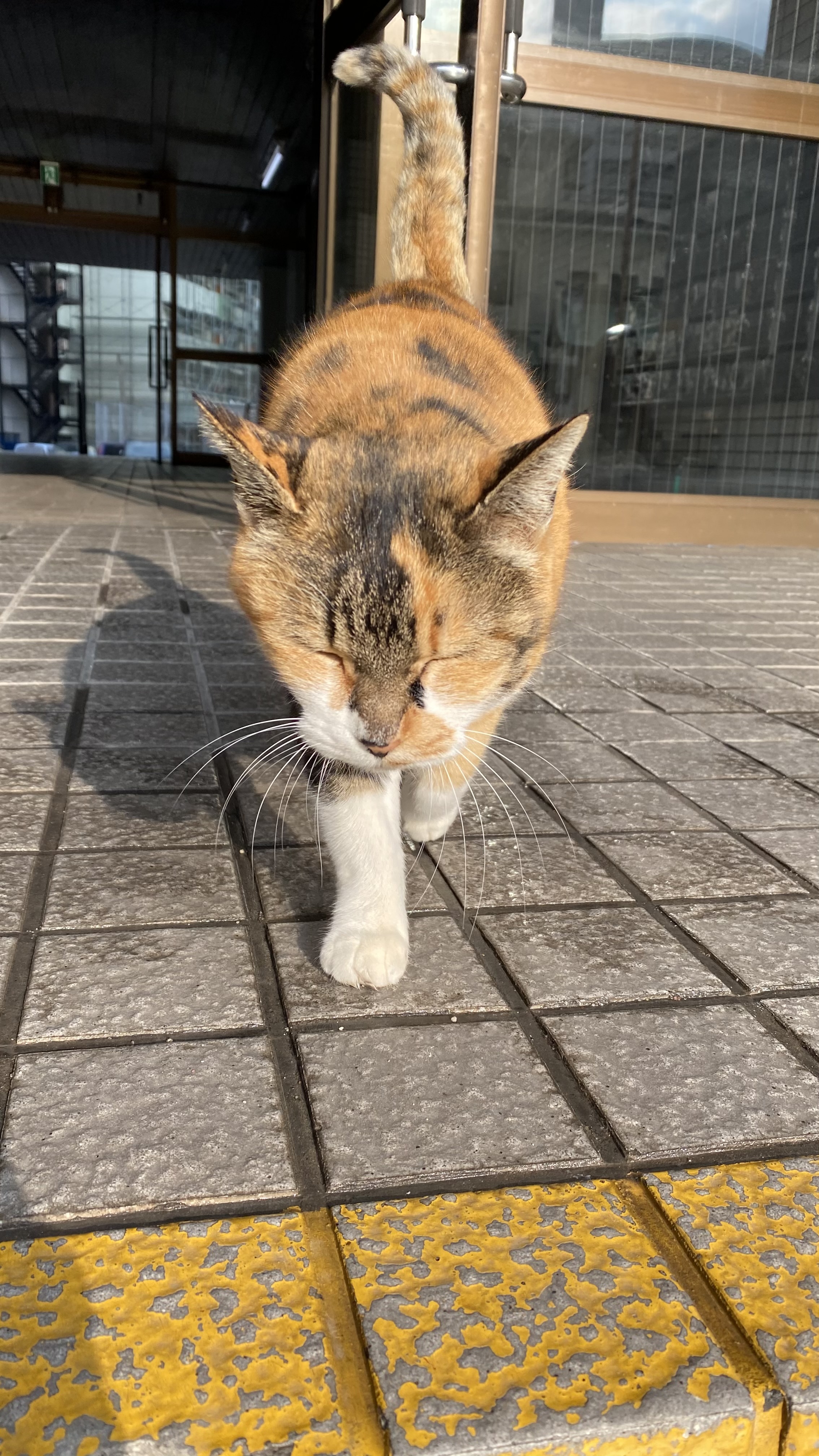 赤の他人