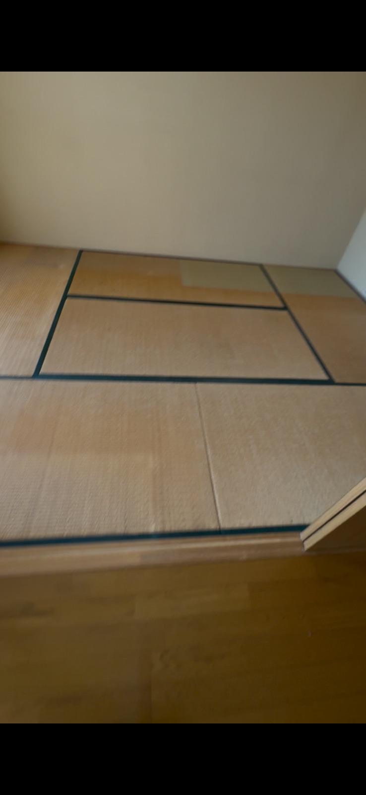 柳川市吉富町 不用品片付け 作業前の3LDK室内